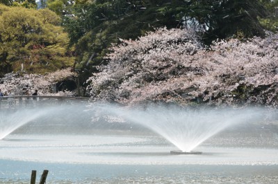 名城公園