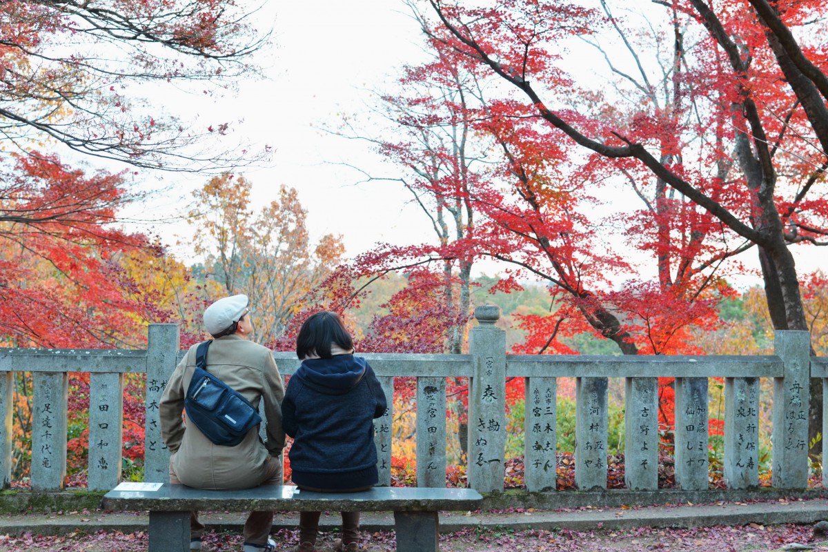 紅葉